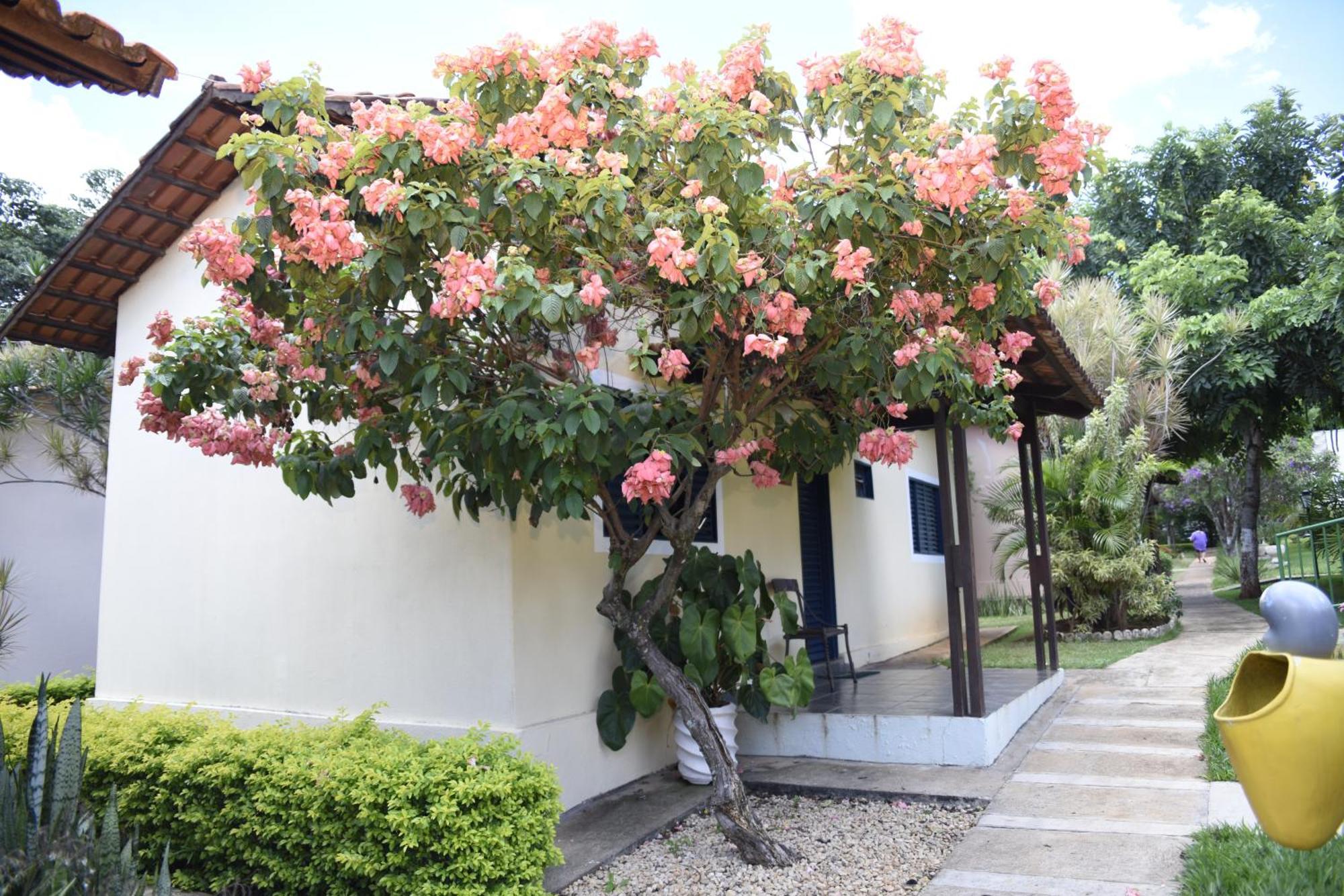 Rosa Spa E Pousada Aparecida de Goiania Exterior foto